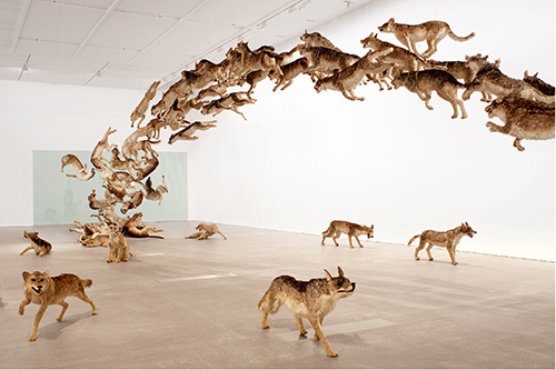 《壁撞き》2006年、狼のレプリカ（99体）・ガラス、 サイズ可変、ドイツ銀行によるコミッション・ワーク
