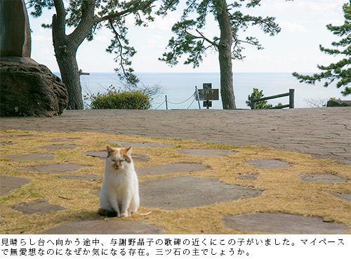 On the way to the observation deck, I saw this child near the monument to Akiko Yosano's poem. Even though he's at his own pace and unfriendly, he somehow makes me curious. Is it the owner of Mitsuishi?