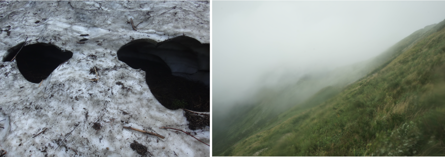 Image left: C.09 (from CAMP) / 2015 / inkjet print, image right: C.43 (from CAMP) / 2015 / inkjet print