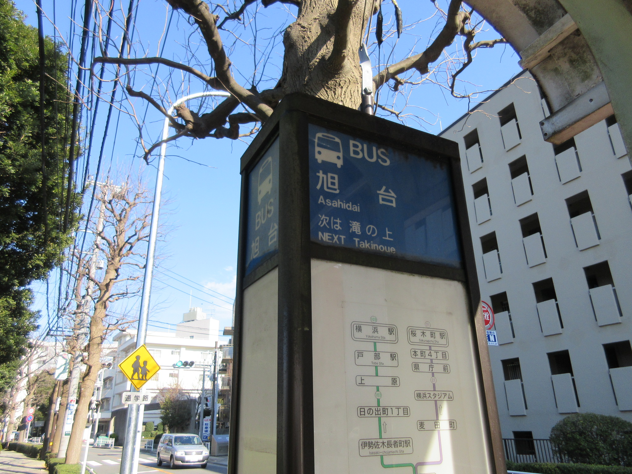 横浜で桜を親子で楽しむ根岸森林公園。あそびい横浜 提供