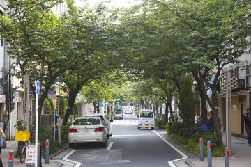 去橫濱的深厚文化街“關內櫻花大道”！