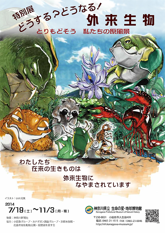 【特別展関連講演会】 外来生物対策の現場から