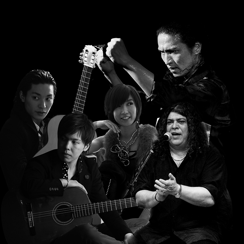 ALMA FLAMENCA LIVE FLAMENCO ENTERTAINMENT 2015