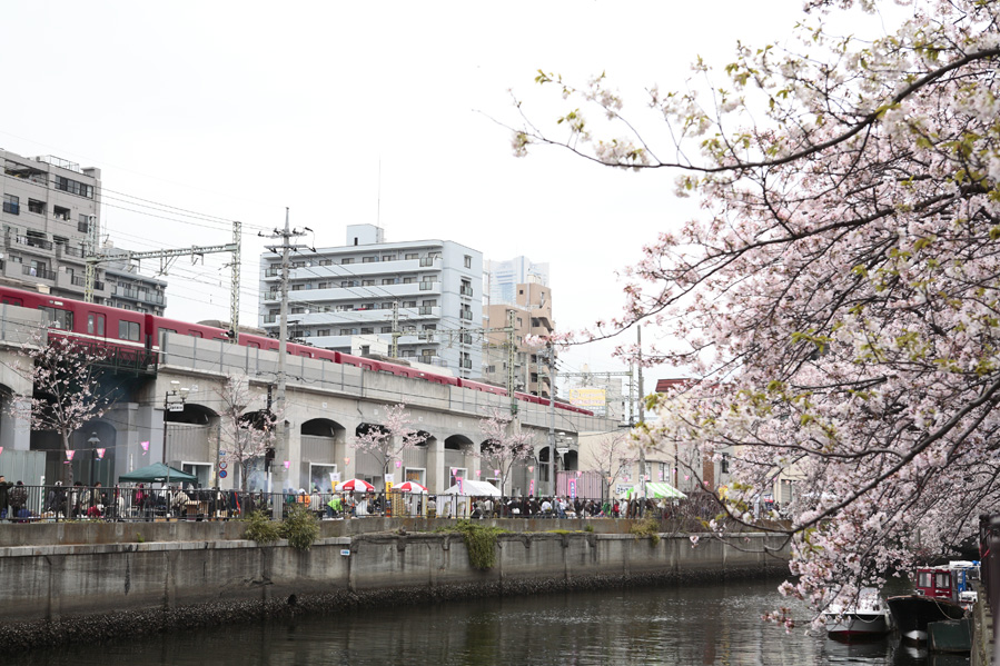ワンデイバザール〜高架下桜まつり〜