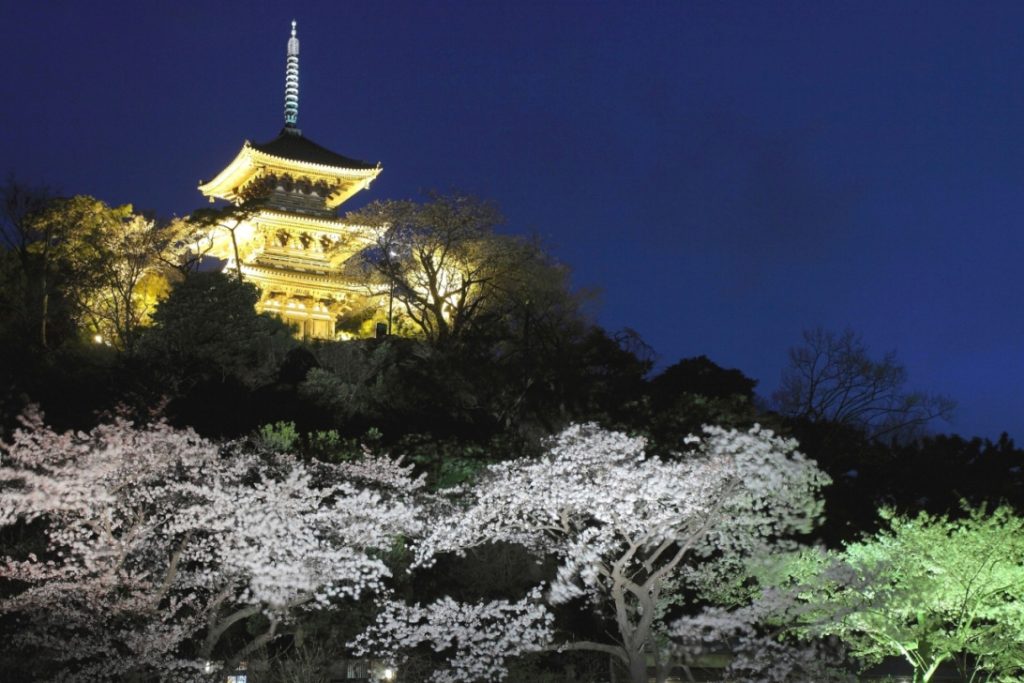 三溪園 観桜の夕べ