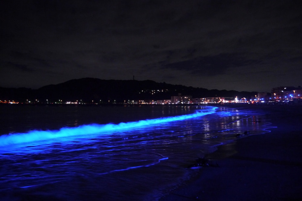 海岸の新たな楽しみ方を地元クリエーターが提案　波と光のインスタレーション「NIGHT WAVE」