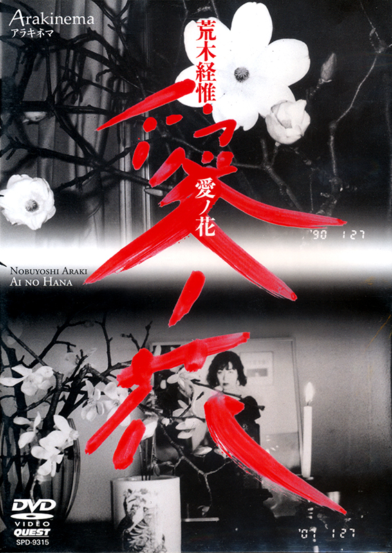 CINEMA 【荒木経惟アラキネマ特集+70年代映画特集】
