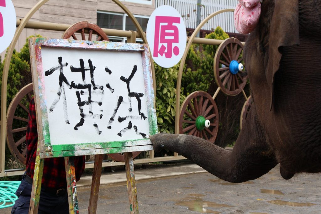 ゆめ花 絵画展