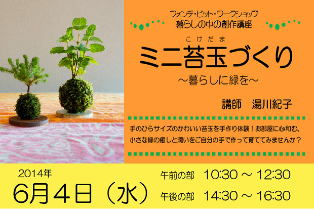 暮らしの中の創作講座「ミニ苔玉づくり~暮らしに緑を~」