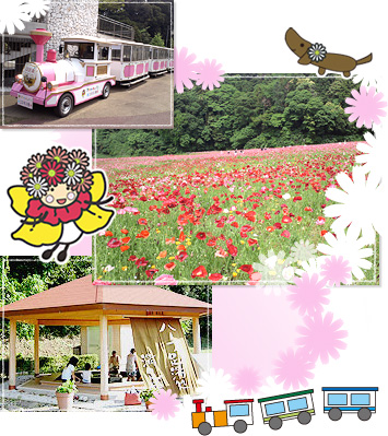 横須賀　くりはま花の国