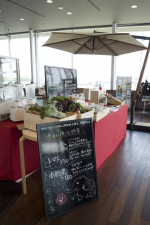 ENJOY ZOU-NO-HANA 2013 -象の鼻の遊び方-展 【ZOU-NO-HANA CAFE企画】 ゾウノハナマルシェ