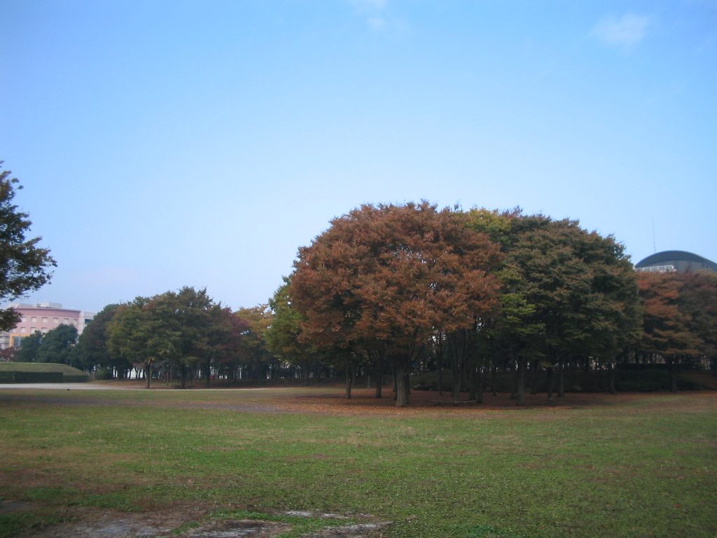 茅ヶ崎中央公園