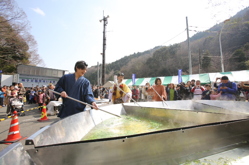 伊勢原市 大山とうふまつり マグカル