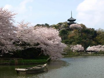 日本庭園「三溪園」で茶道体験＜茶席・望塔亭＞