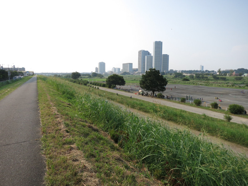 多摩川河川敷 マグカル