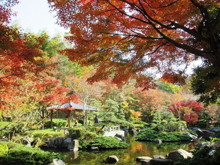 Oiso Joyama Park: Enjoy Seasonal Trees and Flowers and the View from the Observation Deck