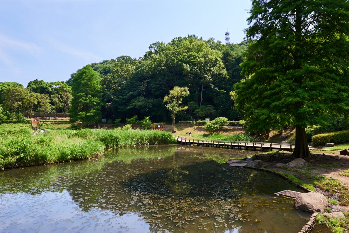 Shinbayashi Park, Fujisawa
