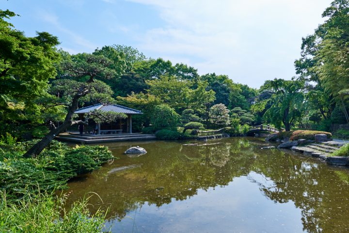 【平塚市総合公園】アクティブな公園の中で、ひっそりと日本情緒を愉しむ