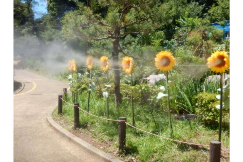 真夏の動物園で涼しく過ごそう!
