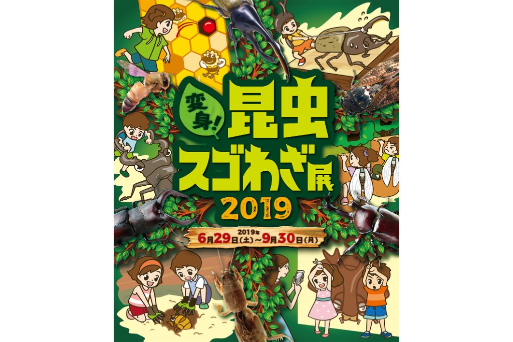 昆虫の「スゴわざ」を全身で体感しよう!