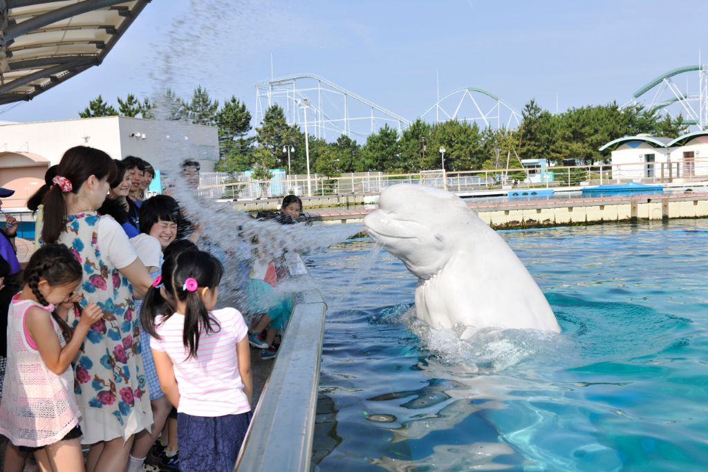 夏ならではのずぶ濡れイベントも盛りだくさん!!