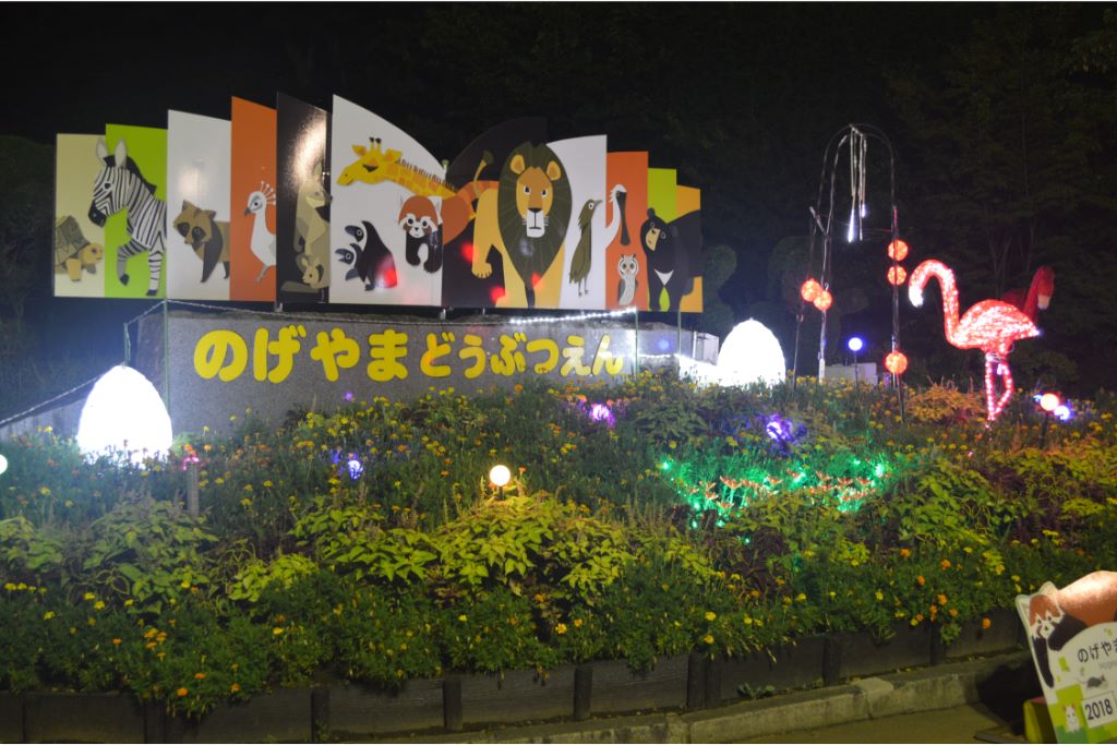 普段は見られない夜の動物園を公開!