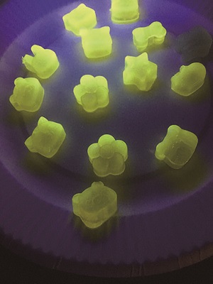 夏休み特別企画「自由研究ラボ~宿題だって楽しみたい!~」 科学実験教室「光るグミ~ビタミンB2のひみつ~」