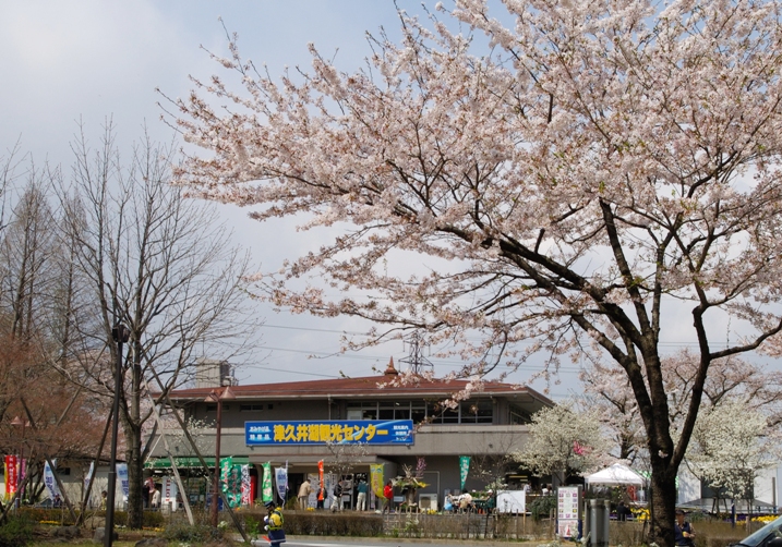 쓰쿠이코 관광센터
