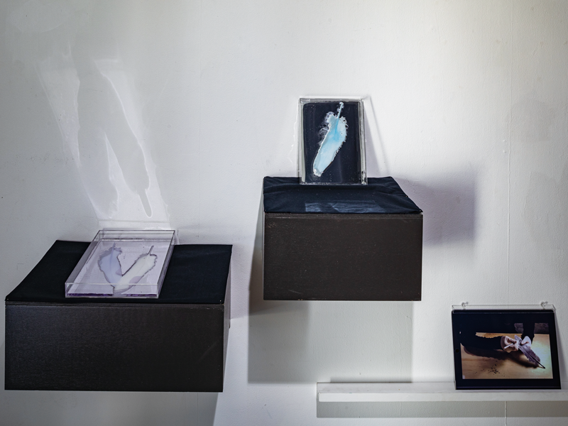 【i】 ショーケースギャラリー 宮内由梨展