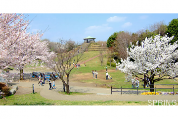 Prefectural Shikinomori Park