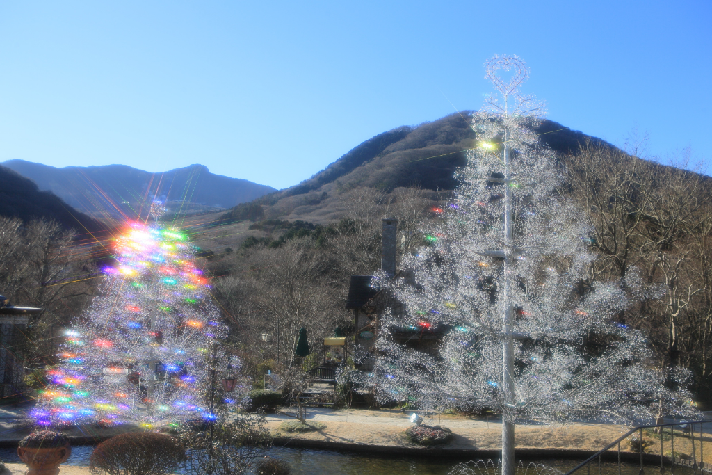 太陽光と風に輝く、約15万粒のクリスタル・ガラスのツリー