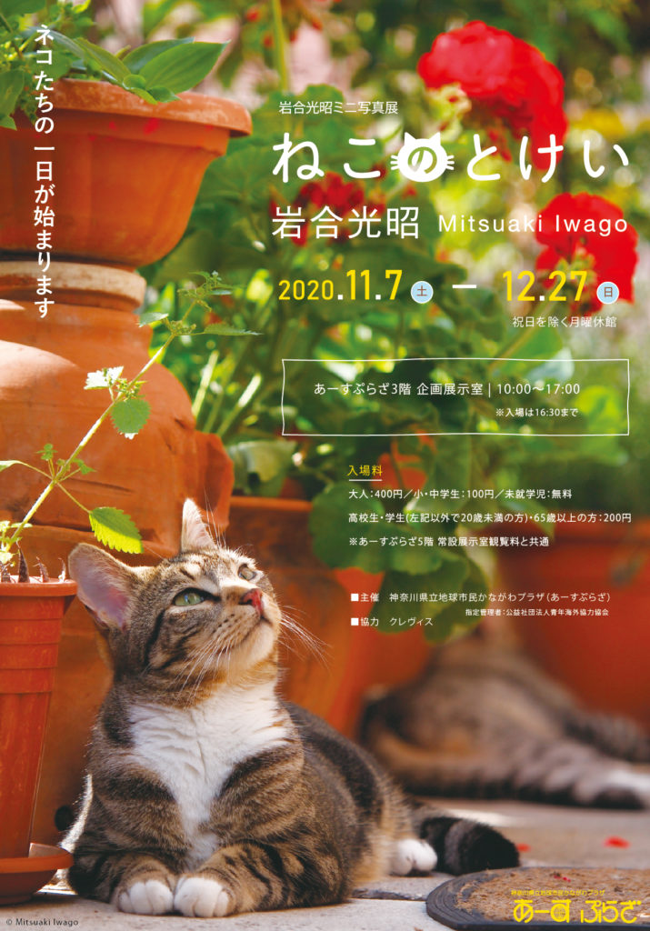 【d】 岩合光昭ミニ写真展「ねこのとけい」