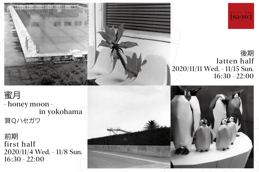 【d】 賀Qハセガワ個展「蜜月 – honeymoon – in yokohama」開催