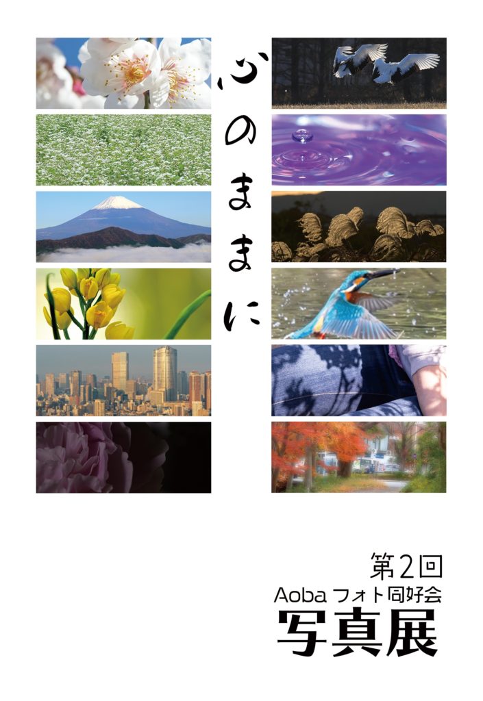 【d】 第2回写真展 ~心のままに~