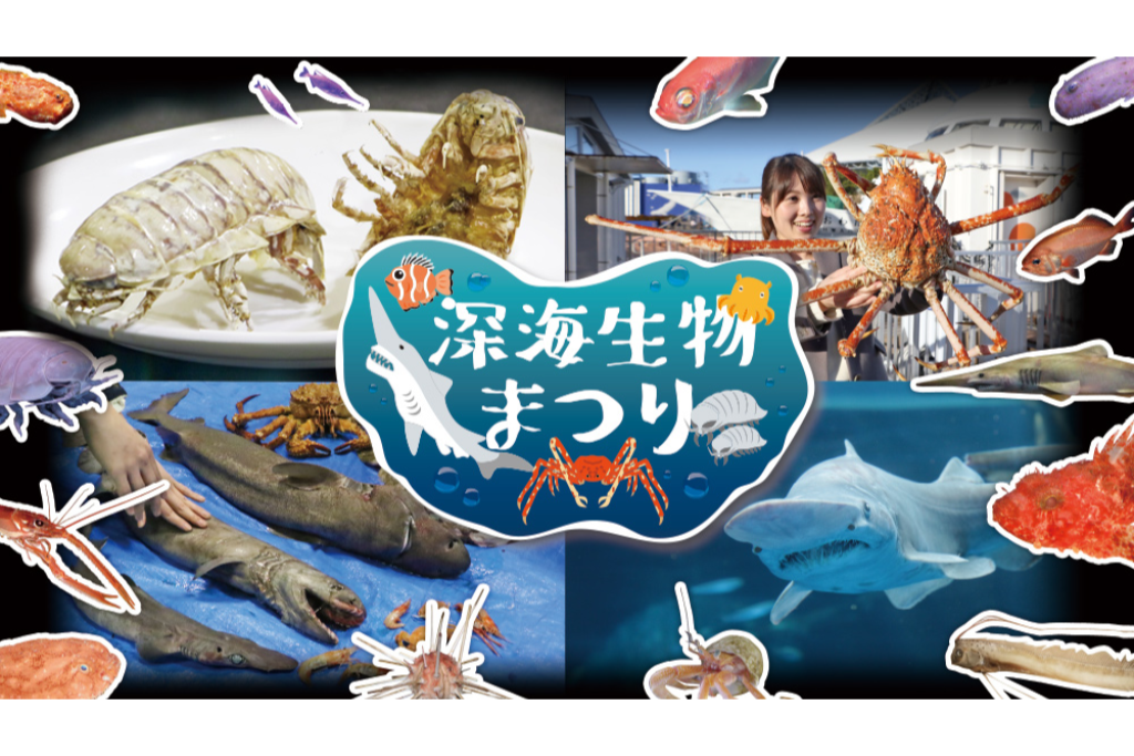 見て、さわって、知って、味わう、深海生物を五感体感してみよう!