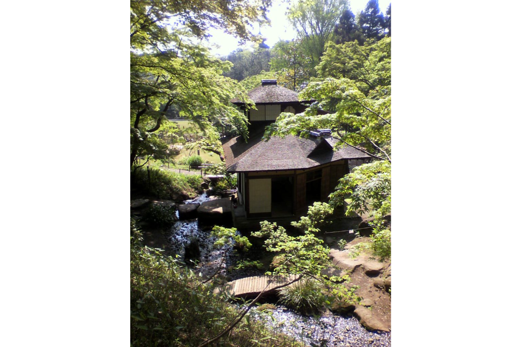 三重塔を遠望する新緑の絶景を楽しんで