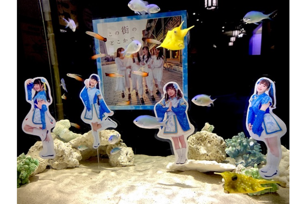 横浜のご当地アイドル「横浜純情小町☆」とのコラボレーション水槽を展示