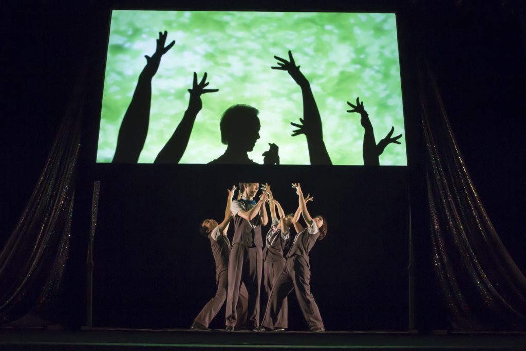 【d】 【オンライン配信】TPAMフリンジ公演 Hand Shadows ANIMARE 2021 Spring Special