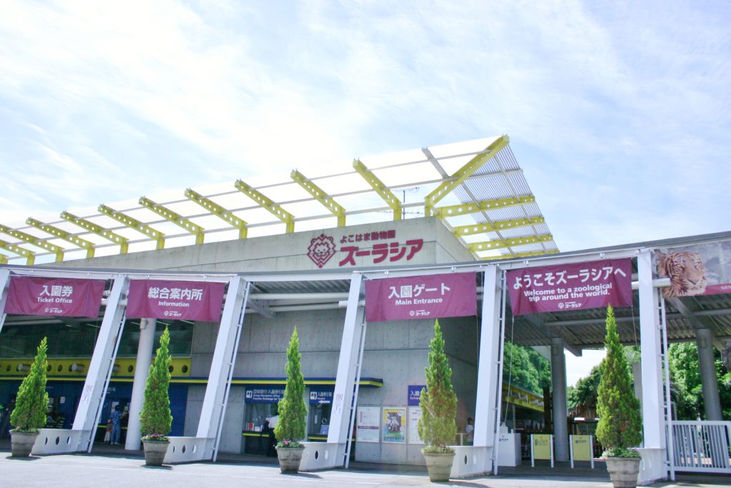 【d】 KENSUKE TAKAHASHI アートワークショップ2020「14m×1.8m」の巨大作品展@よこはま動物園ズーラシア