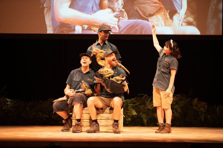 暑假期间将举办真正的恐龙表演 恐龙公园 让全家人都可以享受学习 Magcul