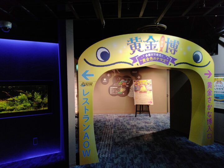 金ピカに輝く カワスイ 川崎水族館 初の特別企画展 金ピカに輝く カワスイ 川崎水族館 初の特別企画展 マグカル