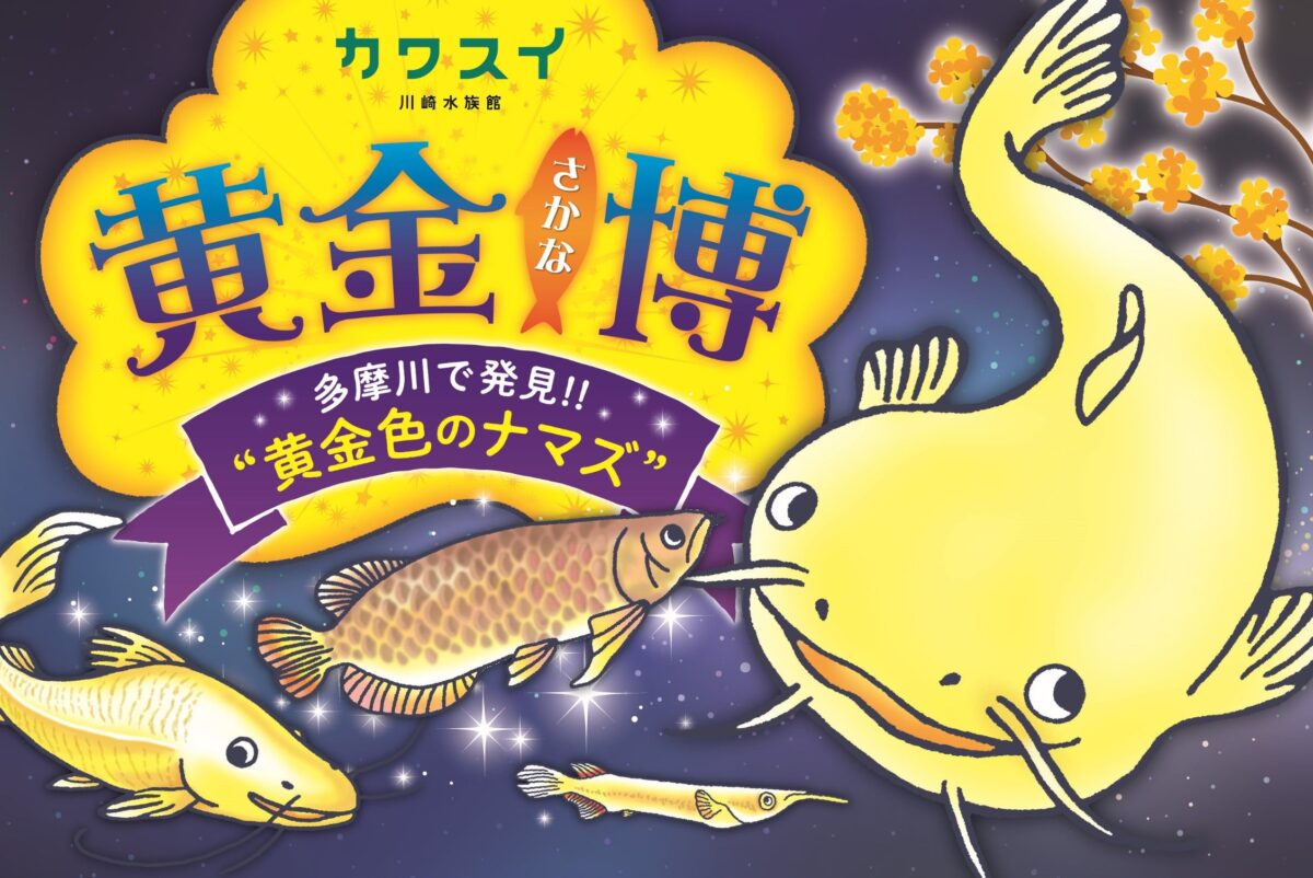 カワスイ初の特別企画展示開催中!