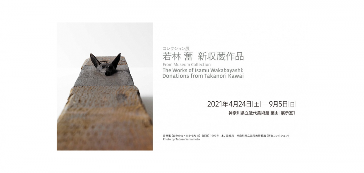 コレクション展「若林 奮 新収蔵作品」開催