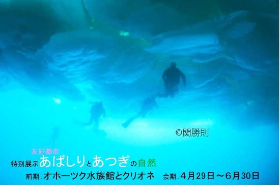 写真でオホーツク海をのぞいてみましょう!