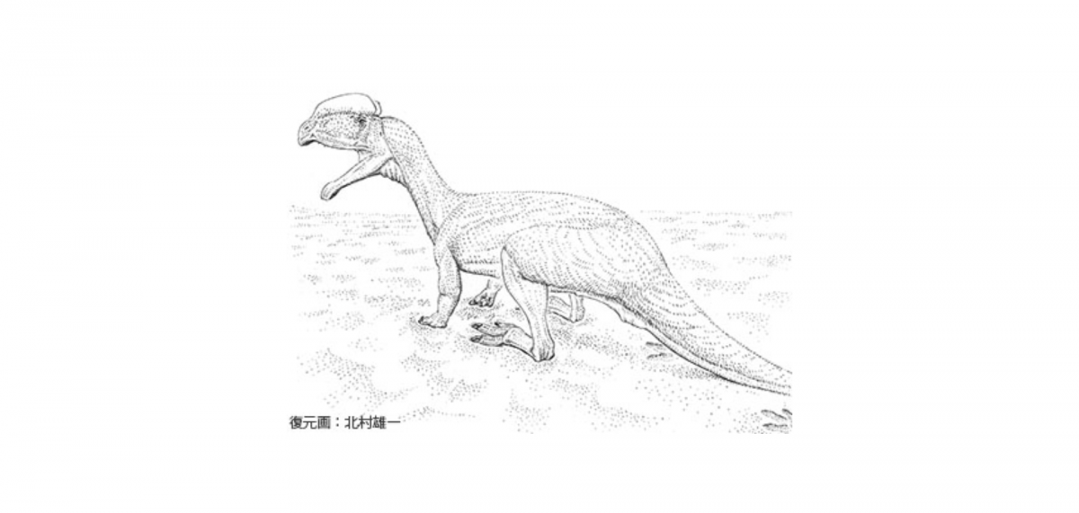 発掘体験や足跡化石ジグソーパズルで楽しく学び,キミも足跡化石博士になろう!