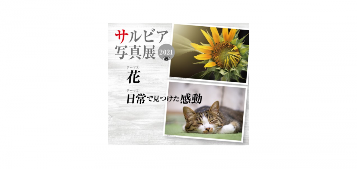 2021年のサルビア写真展のテーマは、「花」そして「日常で見つけた感動」。