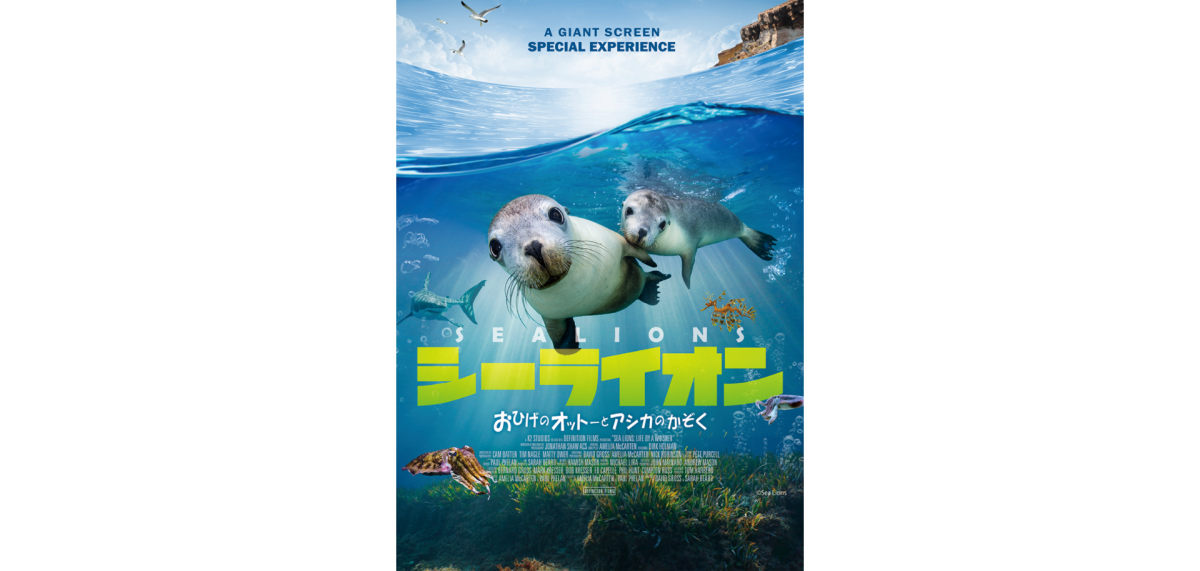 映画館では味わえない、ドーム型大型スクリーンに広がる大迫力の映画!!