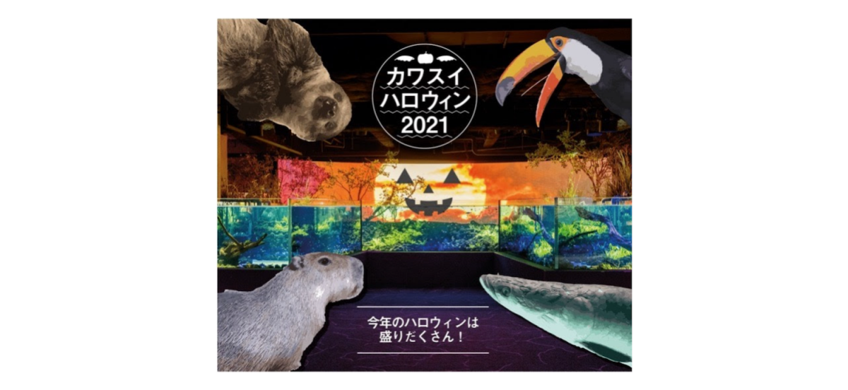 今しか体験できないワークショップやスイーツと共に、当館にてハロウィン気分をお楽しみください。