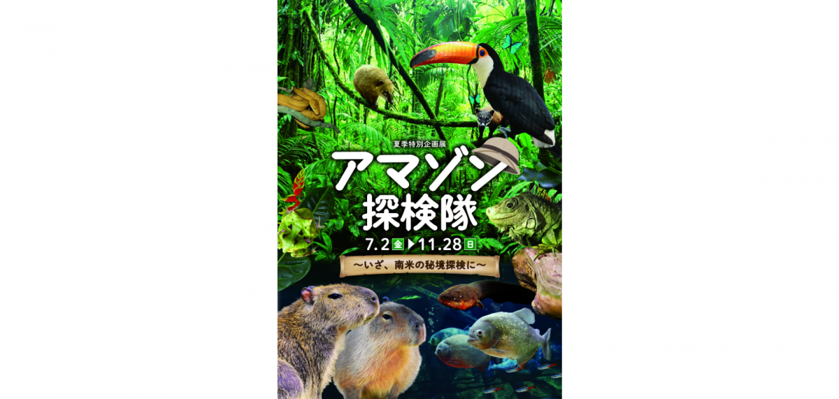 世界最大のアマゾン熱帯雨林について紹介します。