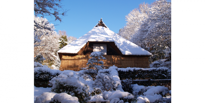 家を雪から守るために古くから雪国で行われていた伝統的な雪囲いを、旧菅原家で再現します。